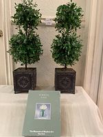 Two artificial topiary plants in metal planters with a boxed Ribbon Vase placed in front of them on a table.