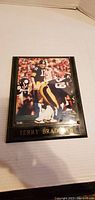 Front view of the framed 8x10 Terry Bradshaw photo showing player and team in uniform
