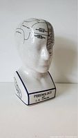 White ceramic phrenology head showing front and side brain region labels with crackled glaze surface and base marking.