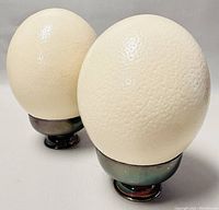 Pair of ostrich eggs mounted on silver plated footed cups, side angle view on white surface.