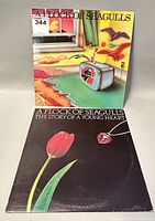 Front open view of 'A Flock of Seagulls: The Story of a Young Heart' album showing colorful surreal artwork including a window, birds, a television, and a tulip flower.