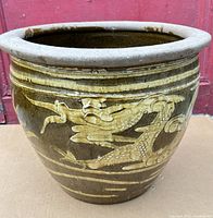 Side view showing the clay planter pot with textured dragon motifs and decorative stripes.