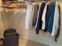 Photo of a closet rod with various women's sweaters and tops hanging on wooden and plastic hangers. A blue plastic storage bin with lid is on the floor under the clothes.