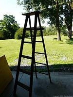 Full view of the old wooden ladder standing outside on concrete with grass and trees in background.