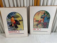 Two vintage bird lithographs side by side, titled Ramphastos and Macao with colorful bird illustrations on white background.