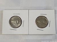 Two 1967 Canadian Centennial silver quarter coins featuring cougars in white coin holders.