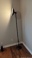 Tall black metal floor lamp in corner with hardwood floor and off-white walls, showing entire lamp including round base and power cord.