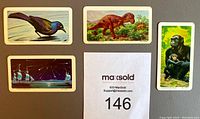 Four cards displayed individually showing a colorful bird, a dinosaur, a sailing ship at night, and a chimpanzee with a child.