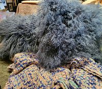 Two Mongolian lamb fur pillows with complementary woven throw blanket beneath