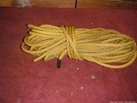 Yellow braided nylon rope coiled and tied, showing black sealed ends laid on a red carpet.