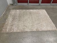 Full view of beige plush carpet on concrete floor