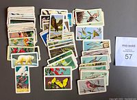 Lot of 65 assorted vintage Red Rose Tea collectible cards from the 1960s. Cards portray various animals including birds, butterflies, and mammals with some duplicates visually grouped on a table surface.