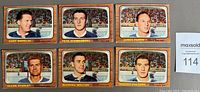 Front view of 6 1966/67 Topps hockey cards featuring Kent Douglas, Pete Stemkowski, James Pappin, Allan Stanley, Michael Walton, and Robert Pulford.