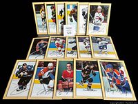 Full lot of 16 signed Beehive hockey photos laid out on black background.