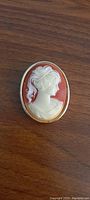 Front view of the cameo brooch pendant showing a white carved female profile against a reddish background with a gold-tone frame.