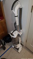 Full side view of the Shark upright vacuum showing white body, clear dustcanister, hose attached at back, resting on the floor near wall