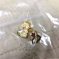 Two Royal Canadian Legion pins in a clear plastic bag on a light surface, one larger and one smaller, both with '20' and 'Associate' wording.