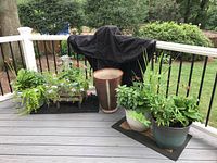 Overview of four planters with assorted live plants on deck railing area.
