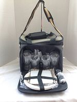 Picnic tote cooler shown upright with front compartment open displaying wine glasses, plates secured with straps, napkins, can opener and salt and pepper shakers.