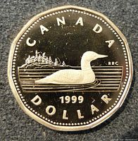 Reverse side of the coin showing a loon and year 1999; proof finish visible.