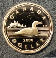 Close-up image of obverse side of 2000 Canada $1 proof coin showing the common loon swimming with date and country name.