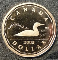 Reverse side of the 2005 Canadian $1 proof coin showing a common loon on water, year 2005, and CANADA DOLLAR inscription.