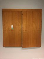 Front view of closed wooden cabinet with two doors, showing wood grain and mounted flat on wall.