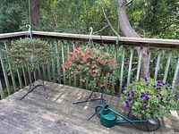 Two tall hanging plant stands each holding hanging pots with flowers, one orange-yellow and one purple. Also a green watering can lying on wooden deck.