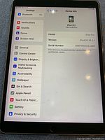 iPad Settings screen showing Apple ID info, model iPad Pro, iPadOS 16.3.1, serial number DMPW6ECGJ28K
