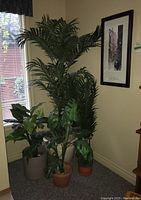 Four artificial plants grouped near window, plus framed black and white etching art on wall