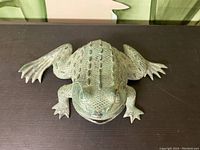 Top view showing the full frog body with textured and dotted pattern, wide front legs, and open mouth.