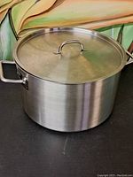 Full view of the vintage stainless steel cooking pot with lid on, showing its round shape and two side handles.