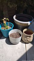 Set of four plant pots displaying large black plastic planter, turquoise plastic planter with dried plant, medium white plastic planter with soil, and beige ceramic planter with decorative handles.