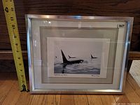 Framed print depicting orcas, includes measuring tape showing frame size around 14 inches wide, signed by artist Bruce Muir, titled 'Reflections of Power'.