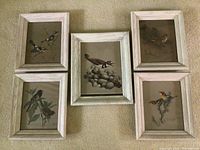 Set of all five framed bird art prints on carpeted floor, showing various bird species and whitewashed frames.