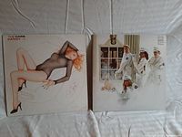 Photo showing front covers of two vinyl records The Cars "Candy-O" and Cheap Trick "At Budokan" side by side