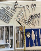 Stainless steel cutlery set including knives, forks, spoons, parfait spoons, and smaller forks, plus additional utensils with bone or plastic handles organized in divider trays.