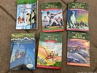 Six Magic Tree House books laid out on a carpeted floor, showing colorful illustrated covers. Titles include stories about penguins, baseball, enchanted dog, dragons, and space.