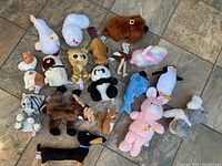 Photo showing 18 assorted stuffed animals of various species and colors arranged on a tiled floor.