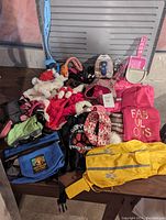 Overview of all dog clothes, costumes, toys, leashes, and travel accessories arranged on table