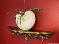 Wide view of the vintage ornate floating shelf mounted on red wall with a decorative shell planter on top.