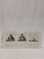 Full view of the vintage poster print showing three images of a cat and text about the artist and studio.