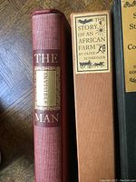 Spine detail of two books: The Invisible Man with red textured spine and gold label, The Story of an African Farm with orange spine label