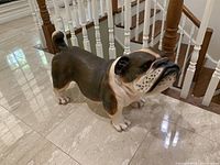 Front and left side view of the resin English Bulldog statue showing facial details, color, and posture.