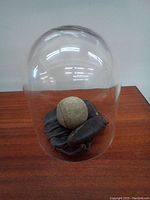 Glass dome displaying vintage leather baseball glove and worn baseball on wooden surface.