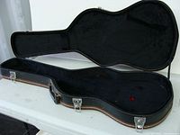 Open view of the inside of the guitar case showing black plush lining and padded interior shape.