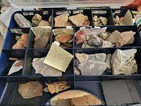 Top view of plastic organizer case showing organized rock specimens in compartments with handwritten notes