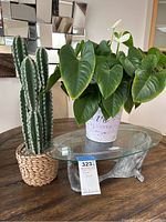 View showing faux cactus, live potted plant, and whale-shaped glass stand on wooden surface