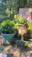 Gardenia plant in blue resin pot with visible flaking finish beside phlox plant in beige pot on black metal stand outdoors.
