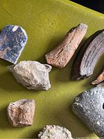 Group of petrified wood, mineral, and fossil pieces on green surface showing different textures and colors